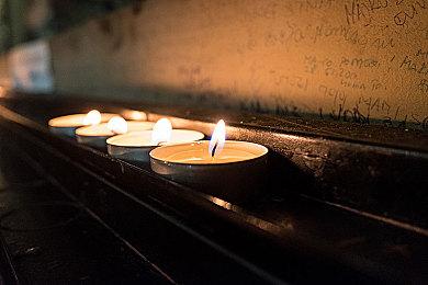 《指环王：夏尔的传说》推迟至2025年初发行