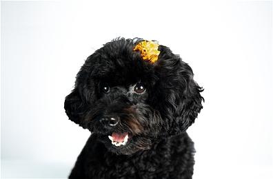 《科纳风暴2》发售预告 10月18日全平台发售